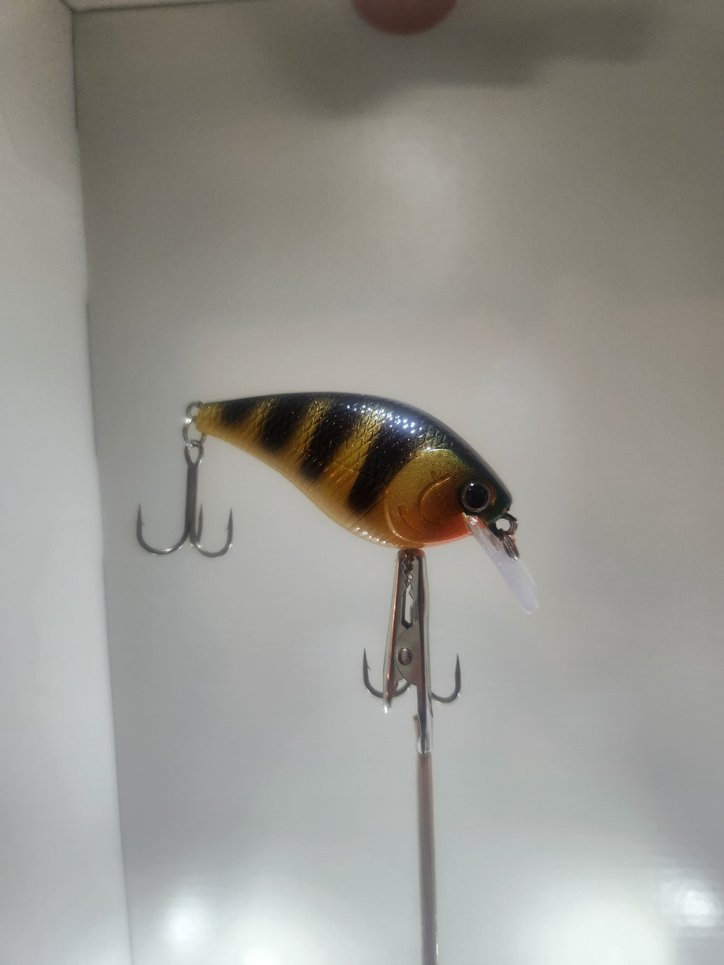 Square Bill Crankbait (Wicked Yeller Perch)