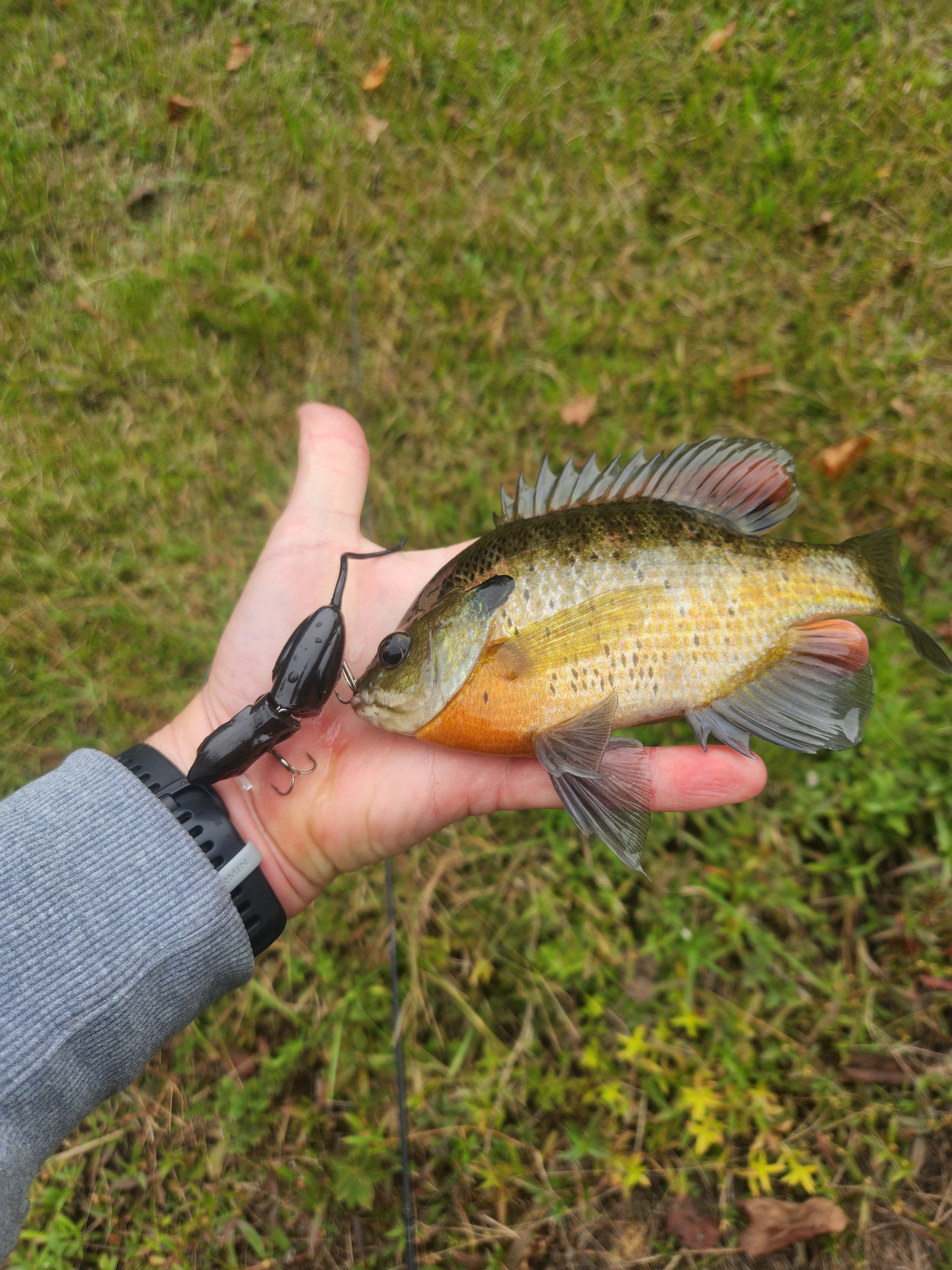 Fievel Rat Wake Bait (Black)