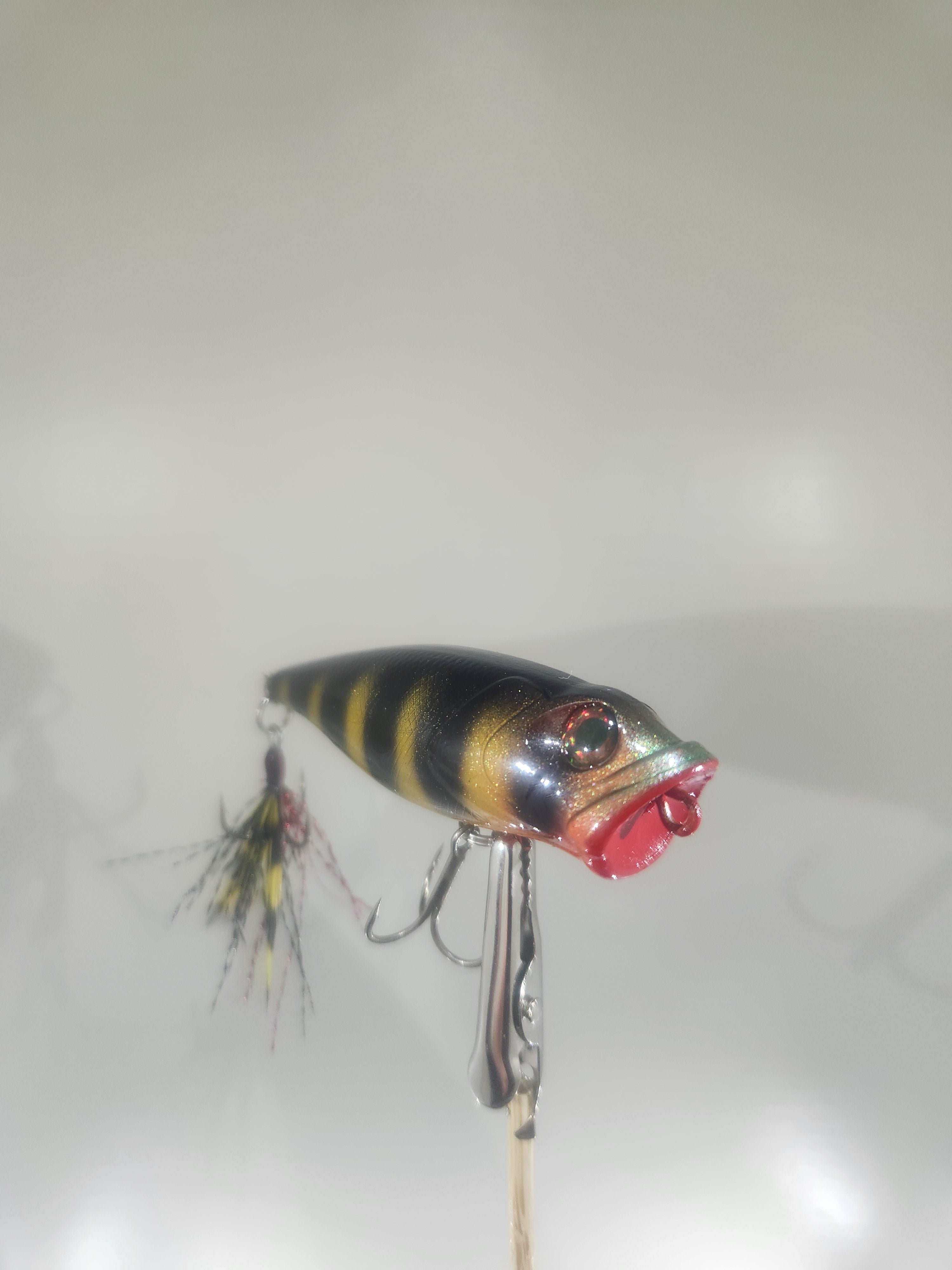 Bass Pop (Wicked Yeller Perch)